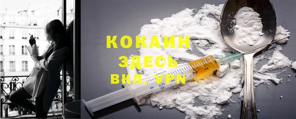 дурь Дмитровск