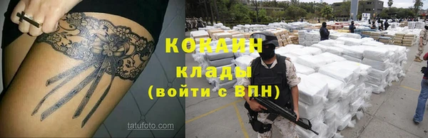 дурь Дмитровск